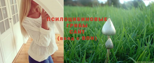 гидропоника Абинск