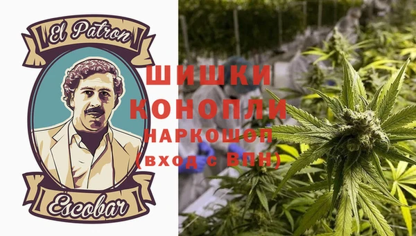прущие грибы Абаза