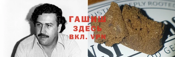 прущие грибы Абаза