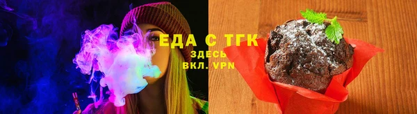 прущие грибы Абаза