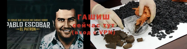 прущие грибы Абаза