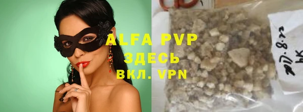 прущие грибы Абаза