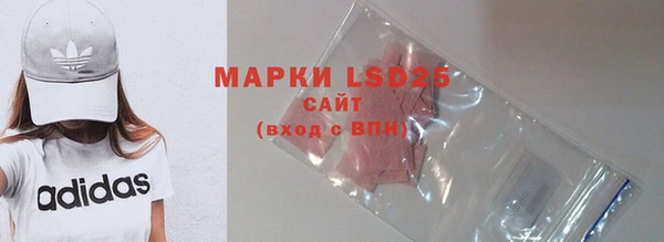 прущие грибы Абаза