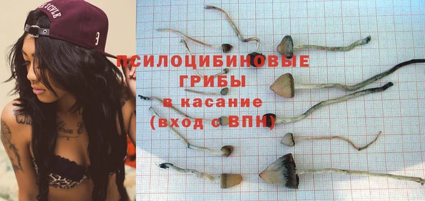 прущие грибы Абаза