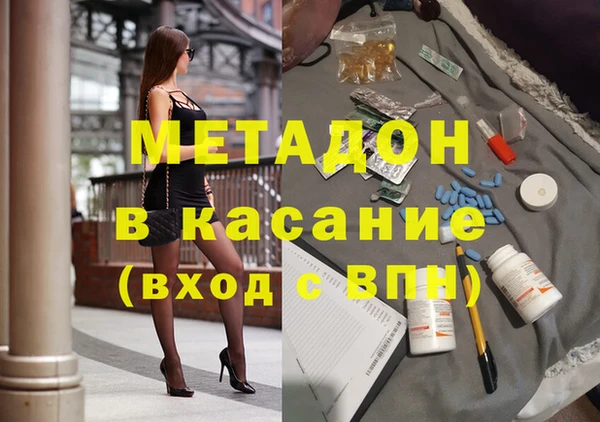 прущие грибы Абаза