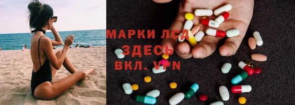 прущие грибы Абаза
